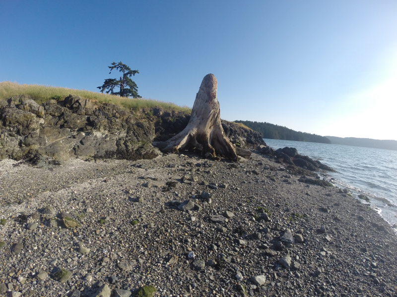 Illustration for article titled Pacific NW pics